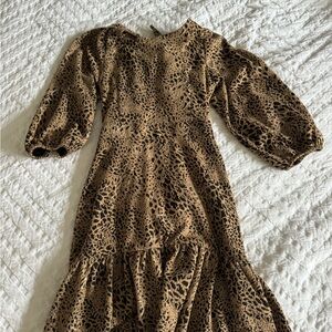 Leopard Print Anthropologie Maeve Dress